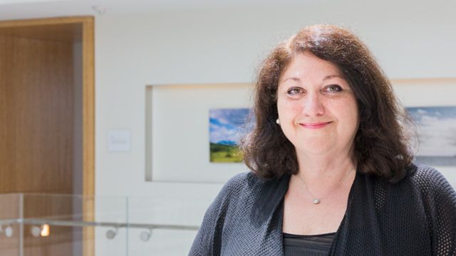 Irene, Program Manager 