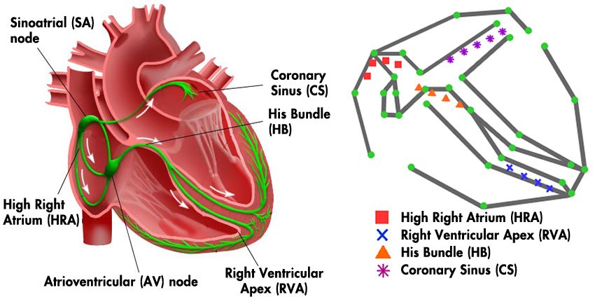 UPenn_Figure_1_w.jpg