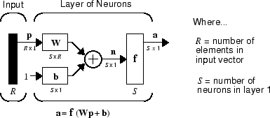 Layer of neurons