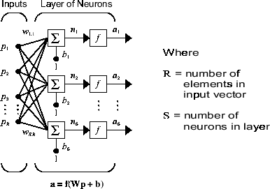 Layer of neurons. The layer receives input vector p and calculates a column vector output a.