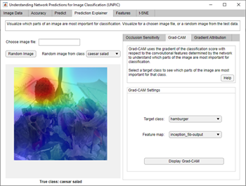 Understanding network predictions for image classification (UNPIC) app.