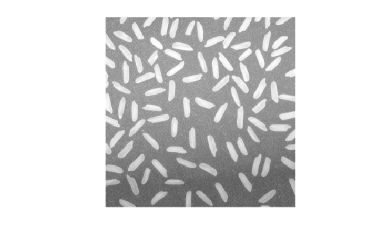 Figure contains an axes object. The hidden axes object contains an object of type image.