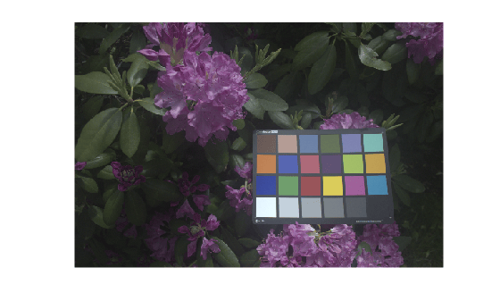 Figure contains an axes object. The hidden axes object contains an object of type image.