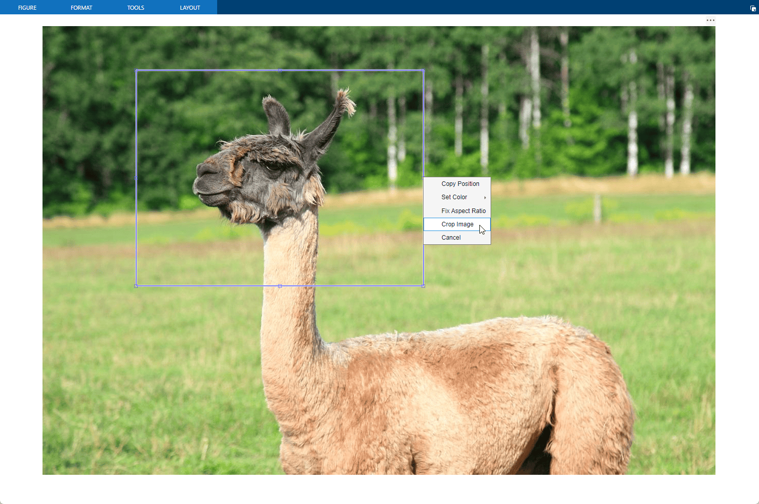 Context menu of Crop Image tool, displaying options for adjusting the crop rectangle or performing the cropping operation.