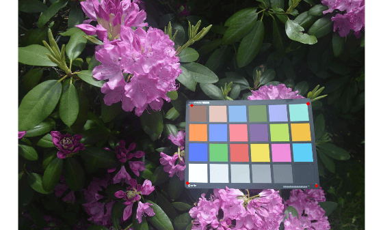Figure Color checker test chart contains an axes object. The hidden axes object contains an object of type image.