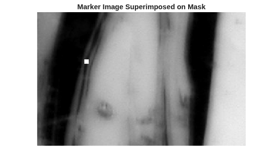 Figure contains an axes object. The hidden axes object with title Marker Image Superimposed on Mask contains an object of type image.