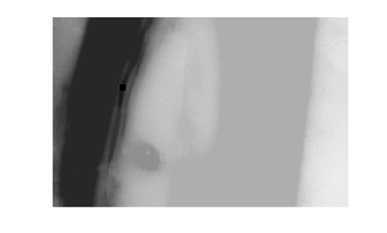 Figure contains an axes object. The hidden axes object contains an object of type image.