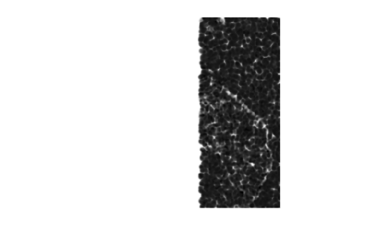 Figure contains an axes object. The hidden axes object contains an object of type image.