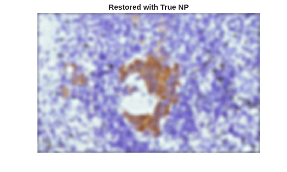 Figure contains an axes object. The hidden axes object with title Restored with True NP contains an object of type image.