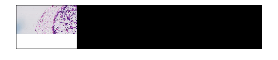 Figure contains an axes object. The axes object contains an object of type image.