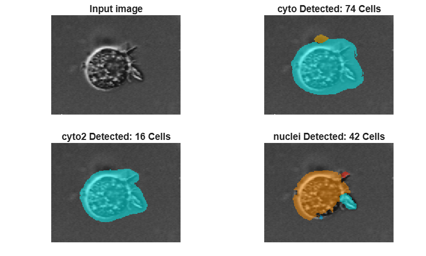 Figure contains 4 axes objects. Hidden axes object 1 with title Input image contains an object of type image. Hidden axes object 2 with title cyto Detected: 74 Cells contains an object of type image. Hidden axes object 3 with title cyto2 Detected: 16 Cells contains an object of type image. Hidden axes object 4 with title nuclei Detected: 42 Cells contains an object of type image.