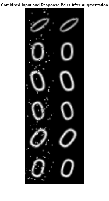 Figure contains an axes object. The axes object with title Combined Input and Response Pairs After Augmentation contains an object of type image.