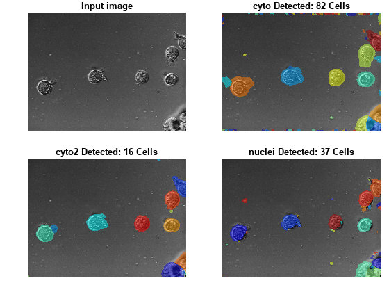 Choose Pretrained Cellpose Model for Cell Segmentation