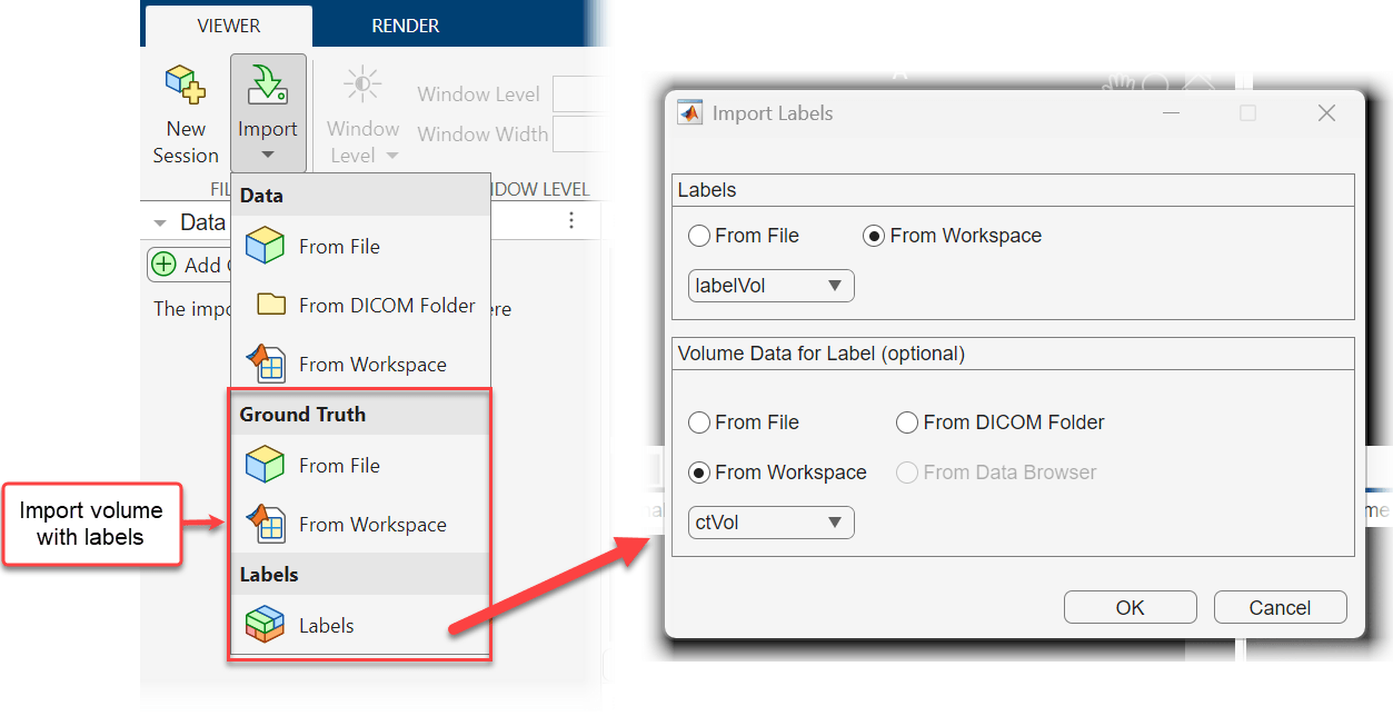 Medical Volume Viewer app window, showing options for importing volumes with labels, including using the Import Labels dialog box