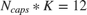 $N_{caps} * K = 12$