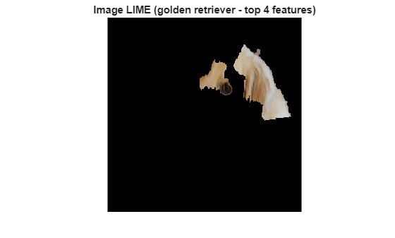 Understand Network Predictions Using LIME