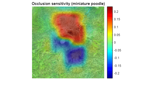 Figure contains an axes object. The hidden axes object with title Occlusion sensitivity (miniature poodle) contains 2 objects of type image.