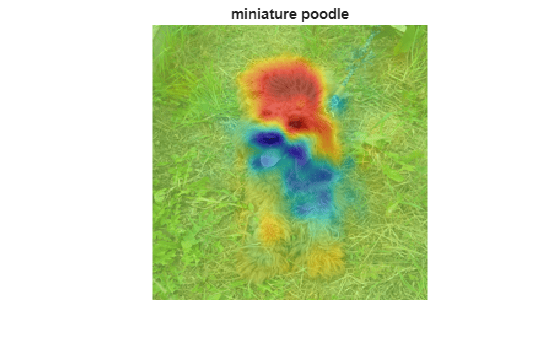 Figure contains an axes object. The hidden axes object with title miniature poodle contains 2 objects of type image.