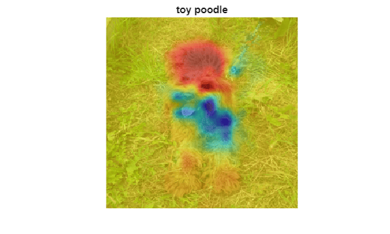 Figure contains an axes object. The hidden axes object with title toy poodle contains 2 objects of type image.