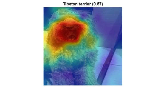 Figure contains an axes object. The hidden axes object with title Tibetan terrier (0.57) contains 4 objects of type image.
