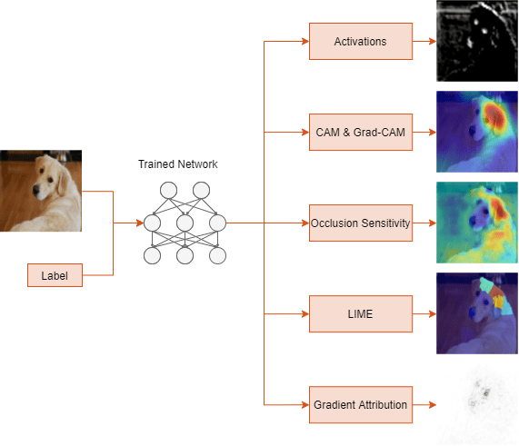 Explore Network Predictions Using Deep Learning Visualization Techniques