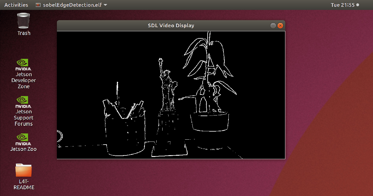 SDL Video Display window on the Jetson hardware. The window shows a black-and-white edge-detected image of three objects: A pencil holder, a statue of liberty figure, and a desk plant.