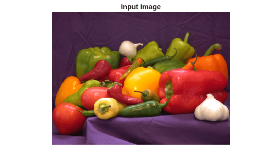 Figure contains an axes object. The hidden axes object with title Input Image contains an object of type image.
