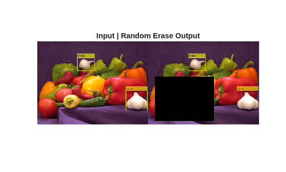 Figure contains an axes object. The hidden axes object with title Input | Random Erase Output contains an object of type image.