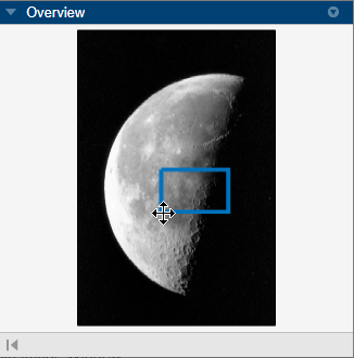 Overview pane showing detail rectangle over portion of image