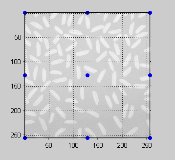 Nine input-space points displayed as blue dots over an image.