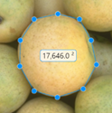 Blue Polygon ROI with 10 vertices approximating the boundary of an object in an image