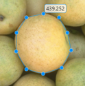 Blue Polyline ROI approximating the boundary of an object in an image