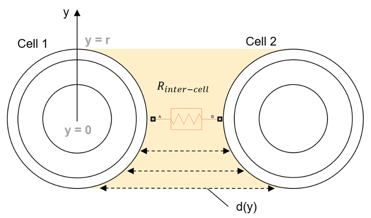 Diagram of distance and area between adjacent cylindrical cells.