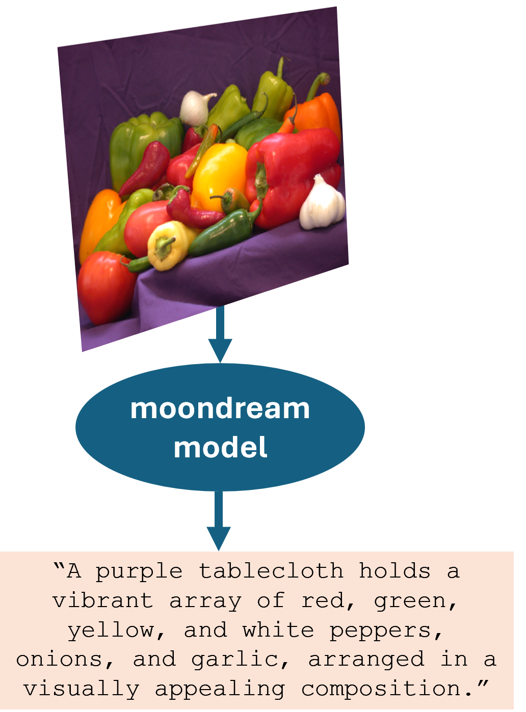 Schematic of caption generation using the Moondream model.