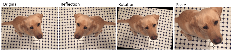 From left to right, the figure shows the original image and the resulting images after reflection, rotation, and scaling.