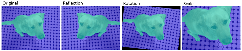From left to right, the figure shows the original pixel labeled image and the resulting pixel labeled image after reflection, rotation, and scaling.