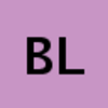 Brandon Leonard