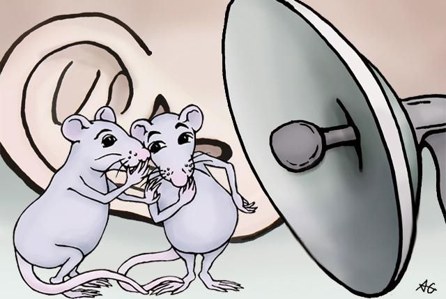 Deep Learning Deciphers What Rats Are Saying